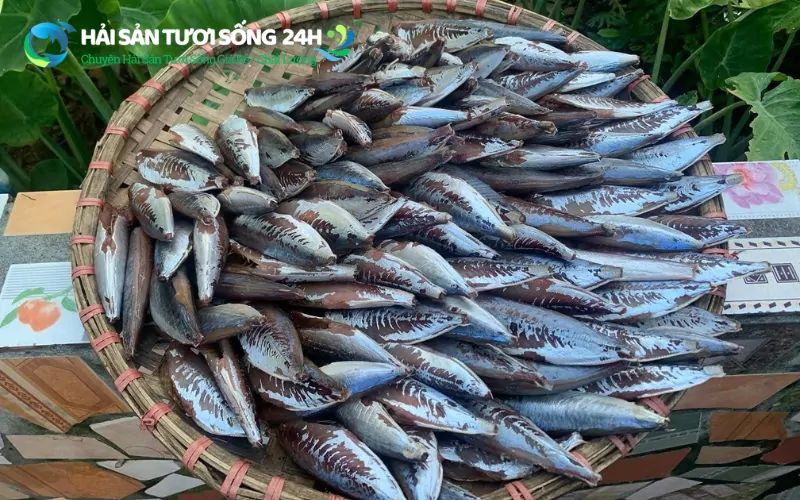 Bảo quản Cá nục một nắng sao cho đúng cách