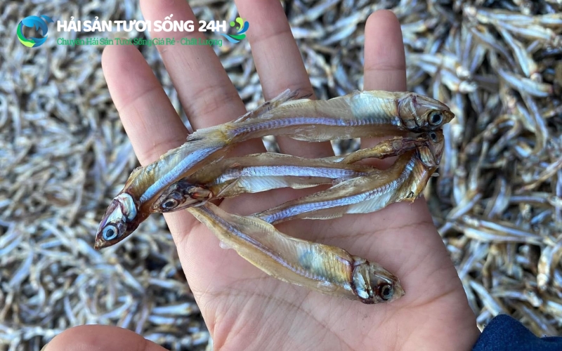 Cá cơm khô loại 1 túi 500g 1 Cá cơm khô loại 1 là gì? Cách nhận biết hàng chuẩn