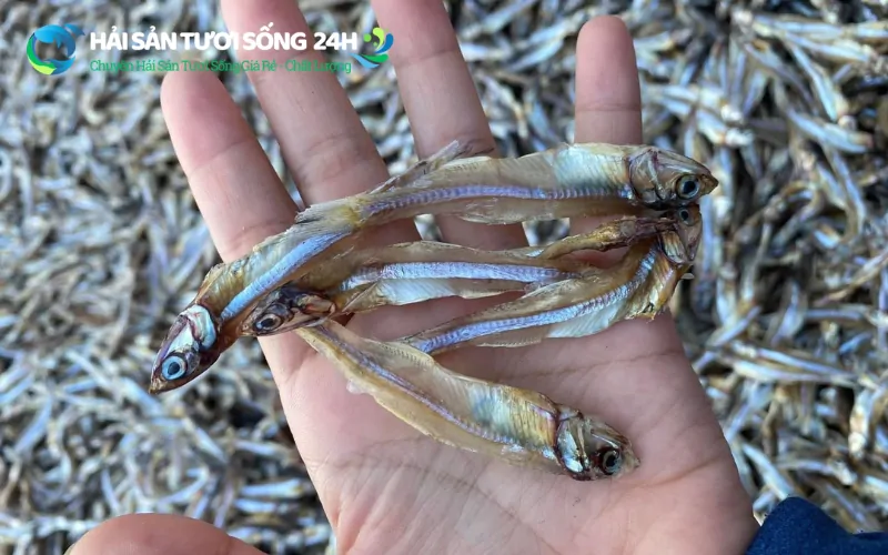 Cá cơm khô loại 1 túi 500g 1 Cá cơm khô loại 1 là gì? Cách nhận biết hàng chuẩn