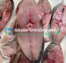 Cá Thu tươi cắt khúc túi 500g