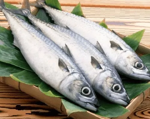 Cá thu tự nhiên đảm bảo độ tươi ngon và dinh dưỡng