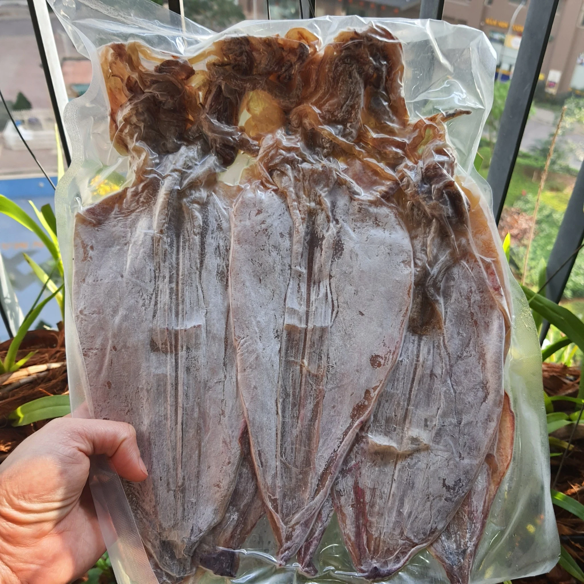 Mực khô câu size từ 15 – 16 – 17 con/1kg túi 500g