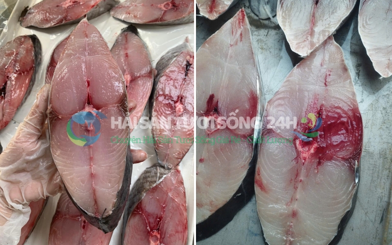 Cá Thu tươi cắt khúc túi 500g 2 Lợi ích và đặc điểm nổi bật của Cá Thu tươi cắt khúc