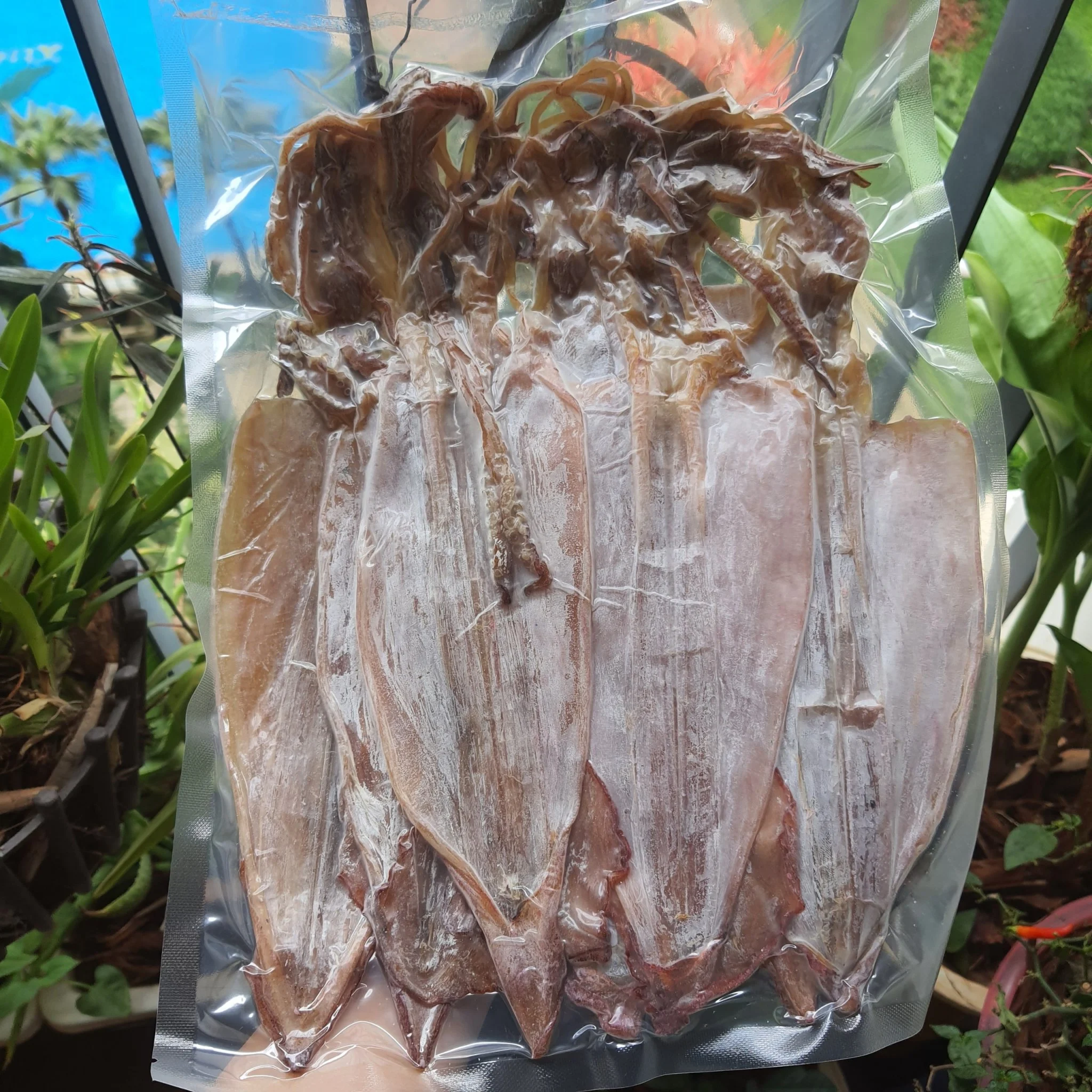 Mực khô câu size từ 13 con/1kg túi 500g