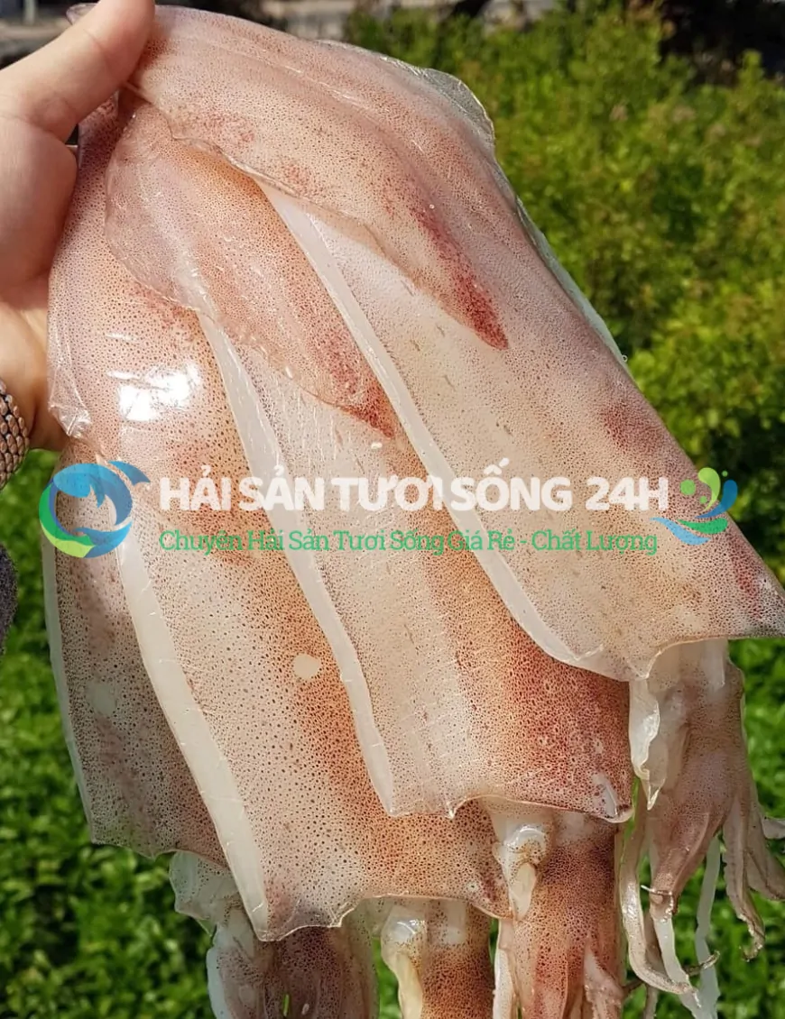 Mực một nắng 3 con/1kg