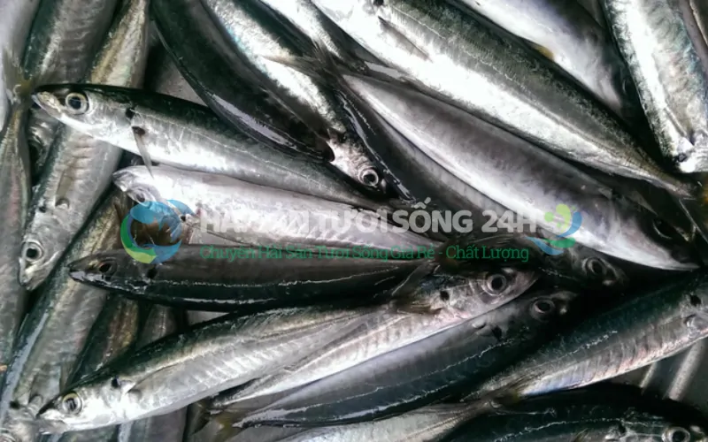 Bảng giá cá nục suôn hiện nay