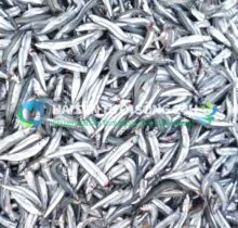 Cá Cơm tươi (cá Dỏng) túi 500g