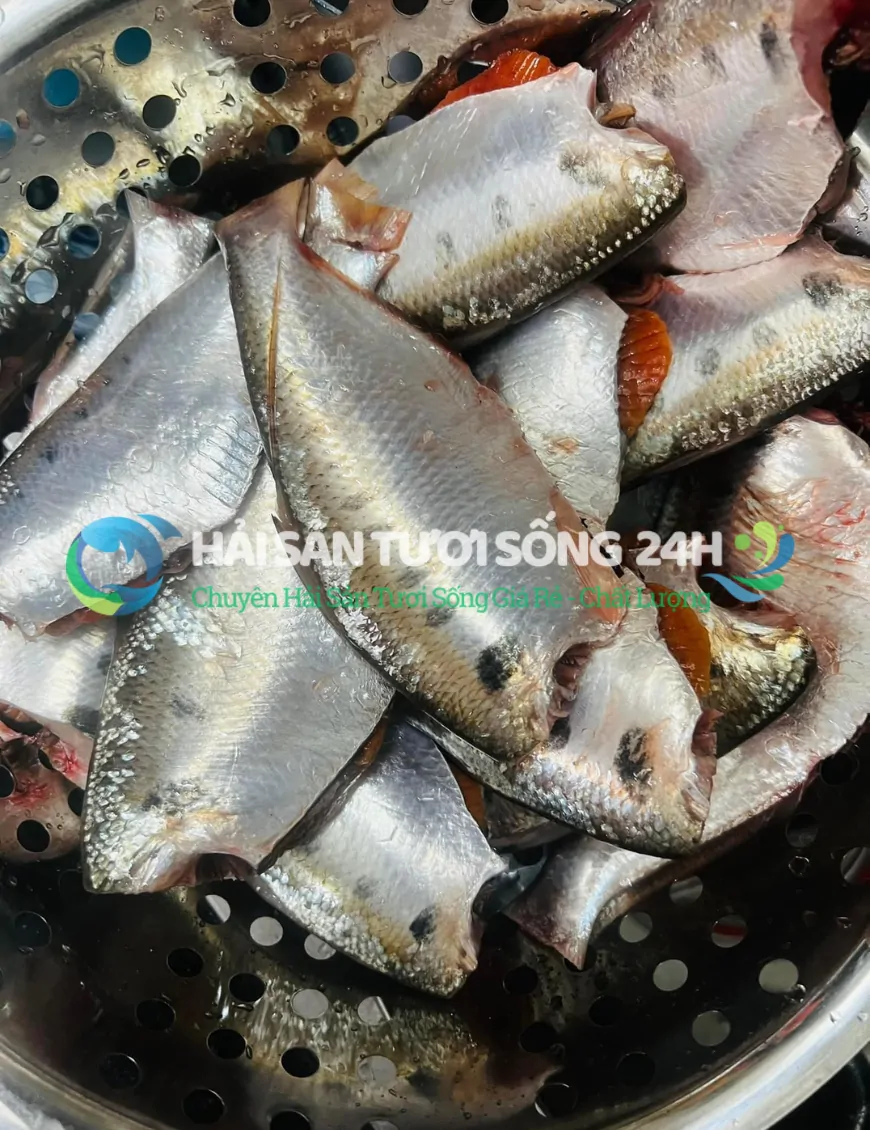 Cá mòi biển túi 500g