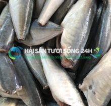 Cá nục bạc má túi 500g