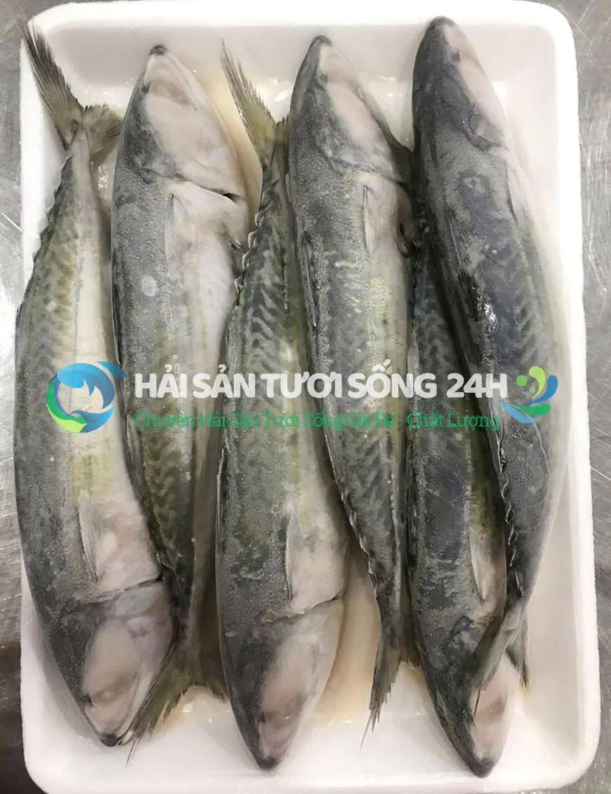 Cá Nục Bạc Má túi 500g