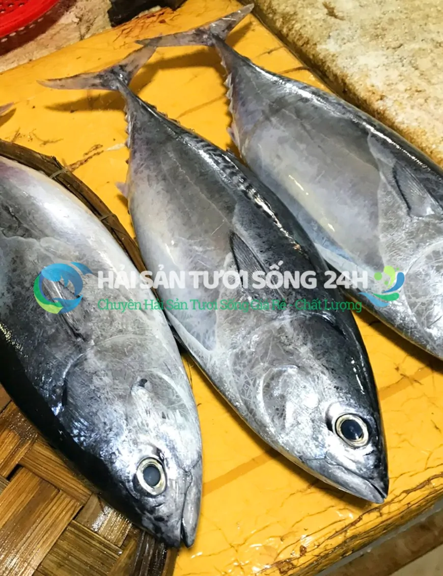 cá ù cắt khúc túi 500g