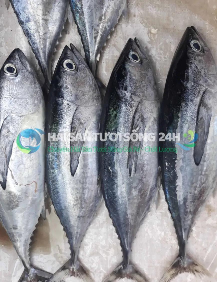 cá ù cắt khúc túi 500g