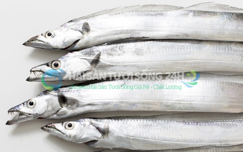 Giá Cá Hố hôm nay bao nhiêu 1kg?