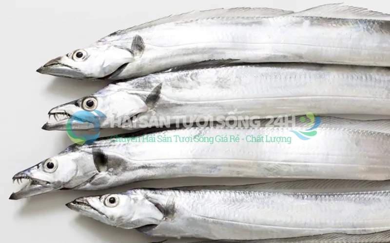 Giá Cá Hố hôm nay bao nhiêu 1kg?