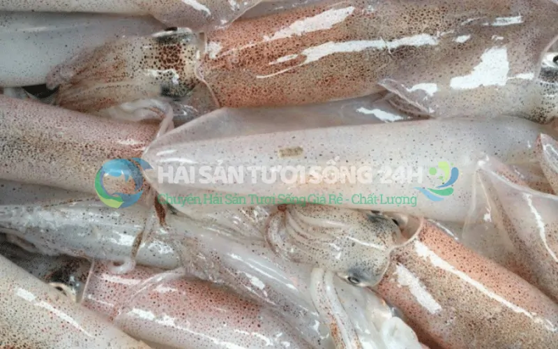 Giá mực ống bao nhiêu 1kg? Cập nhật mới nhất