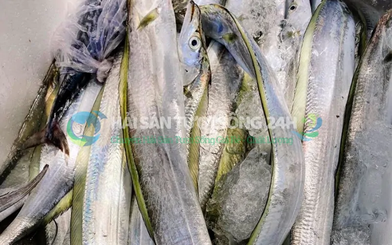 Giá trị dinh dưỡng bất ngờ từ Cá Hố tươi