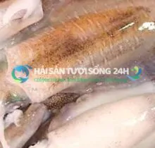 Mực Mai túi 500g