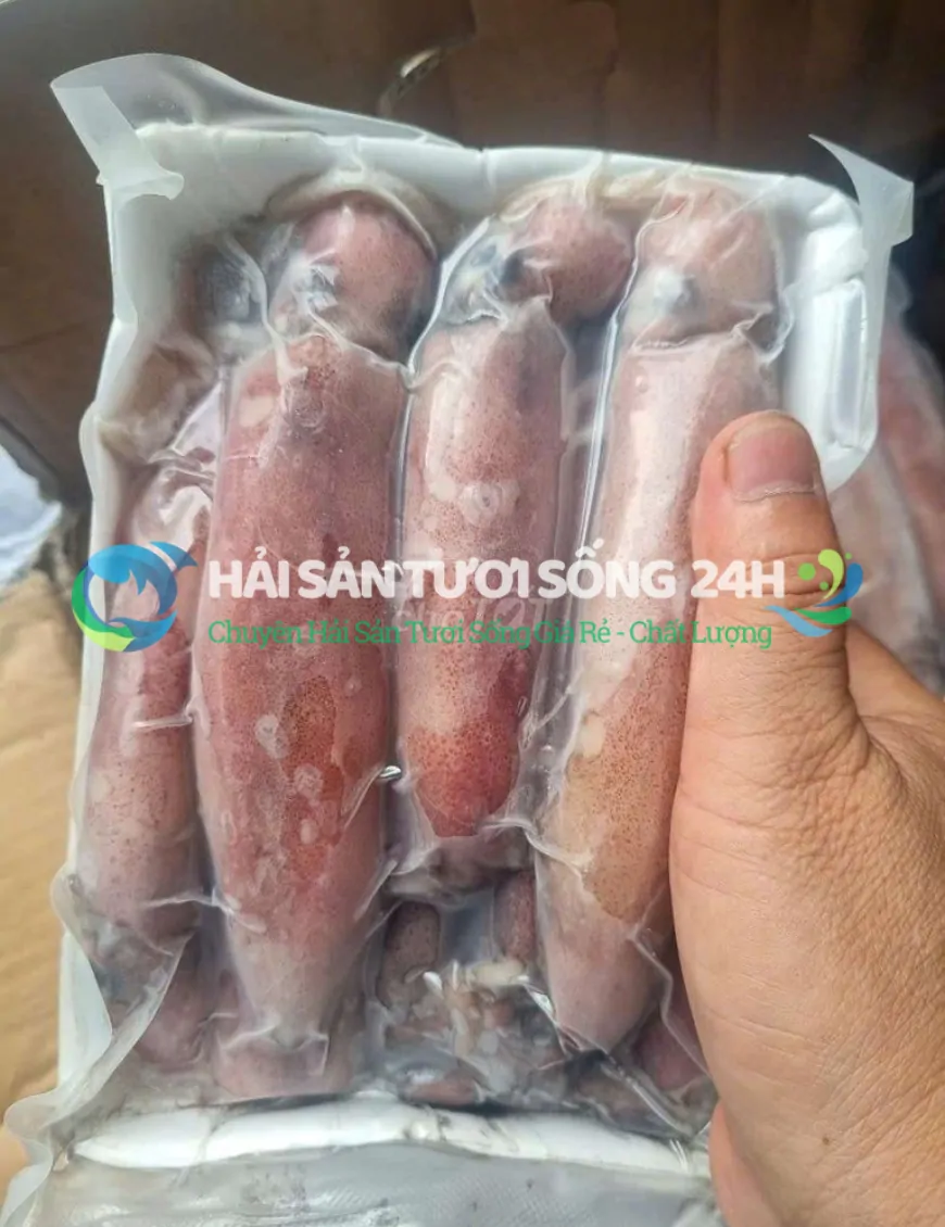 Mực ống túi 500g