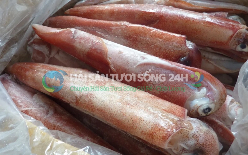 Tại sao Mực ống tươi lại là thực phẩm vàng cho sức khỏe?