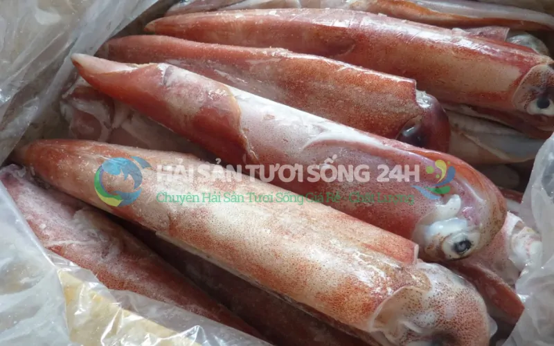 Tại sao Mực ống tươi lại là thực phẩm vàng cho sức khỏe?