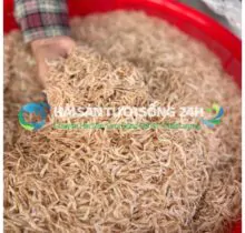 Tép biển khô loại 2 – túi 500g