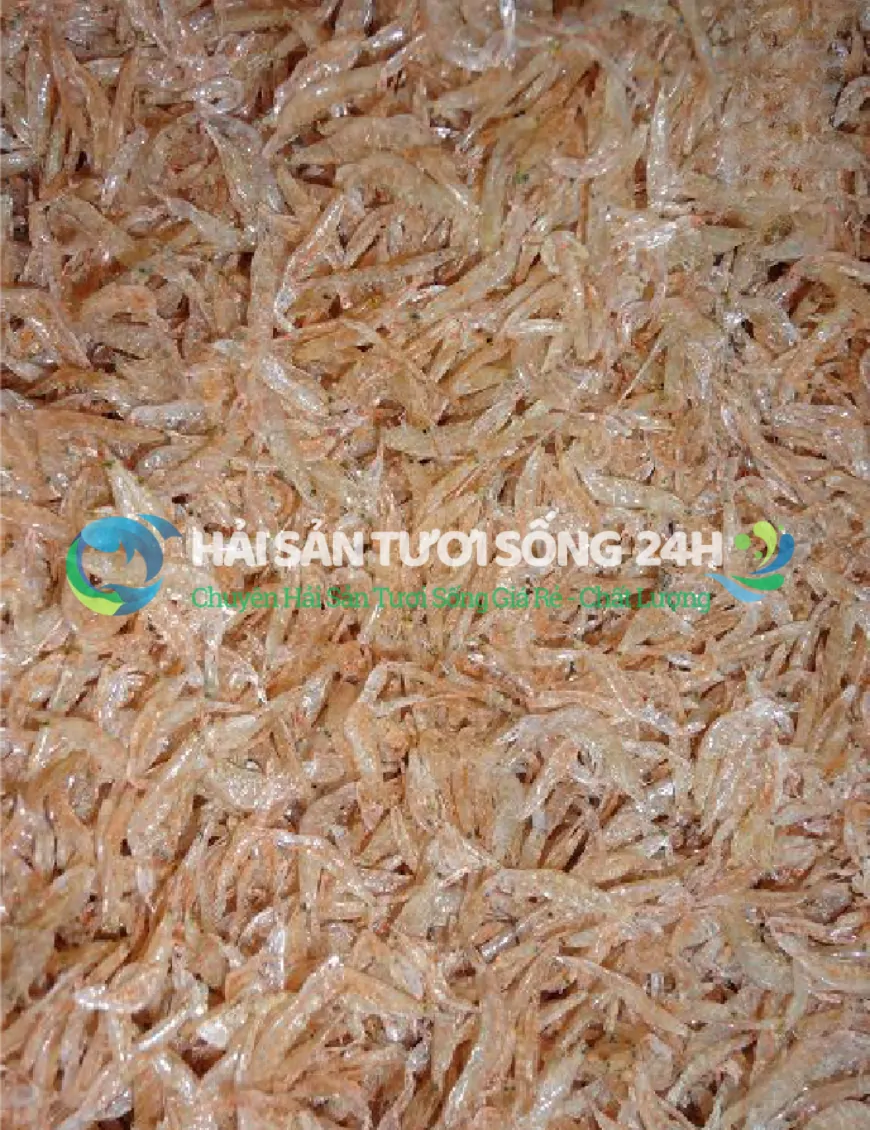 tép biển khô loại 2