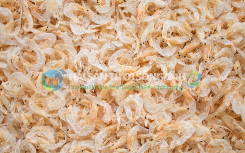 Tép biển khô loại 2 - túi 500g 1 Phân biệt Tép biển khô loại 2 với loại 1