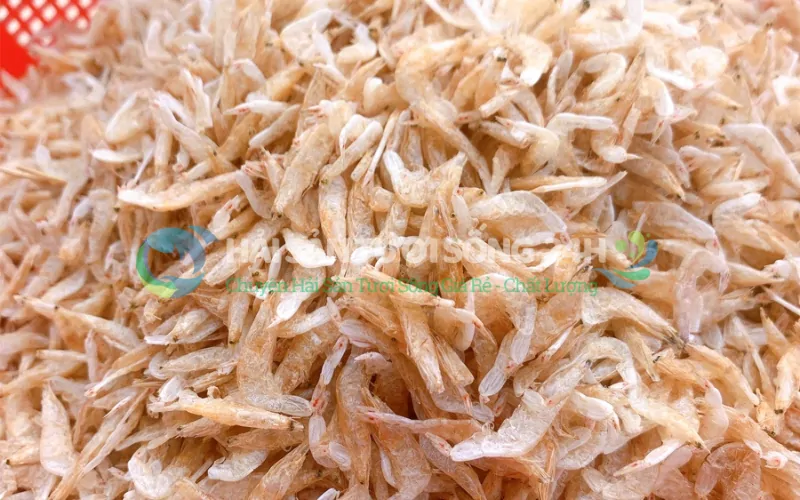 Tép biển khô loại 1 là gì?