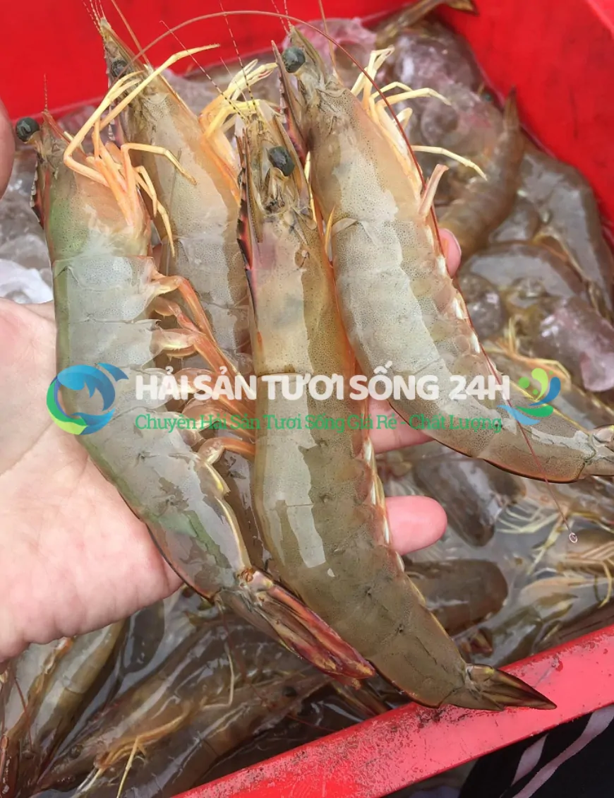 Tôm He biển túi 500g