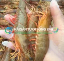 Tôm He biển túi 500g