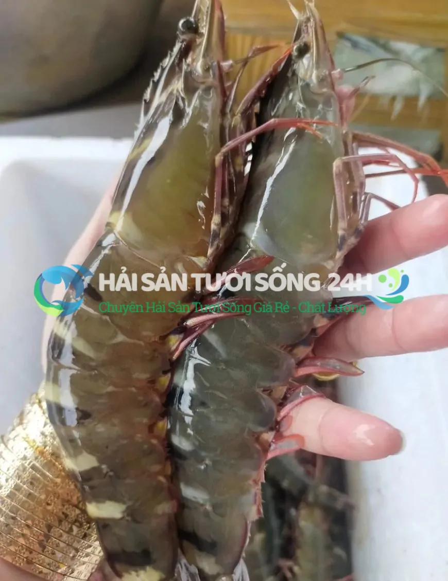 Tôm He biển túi 500g