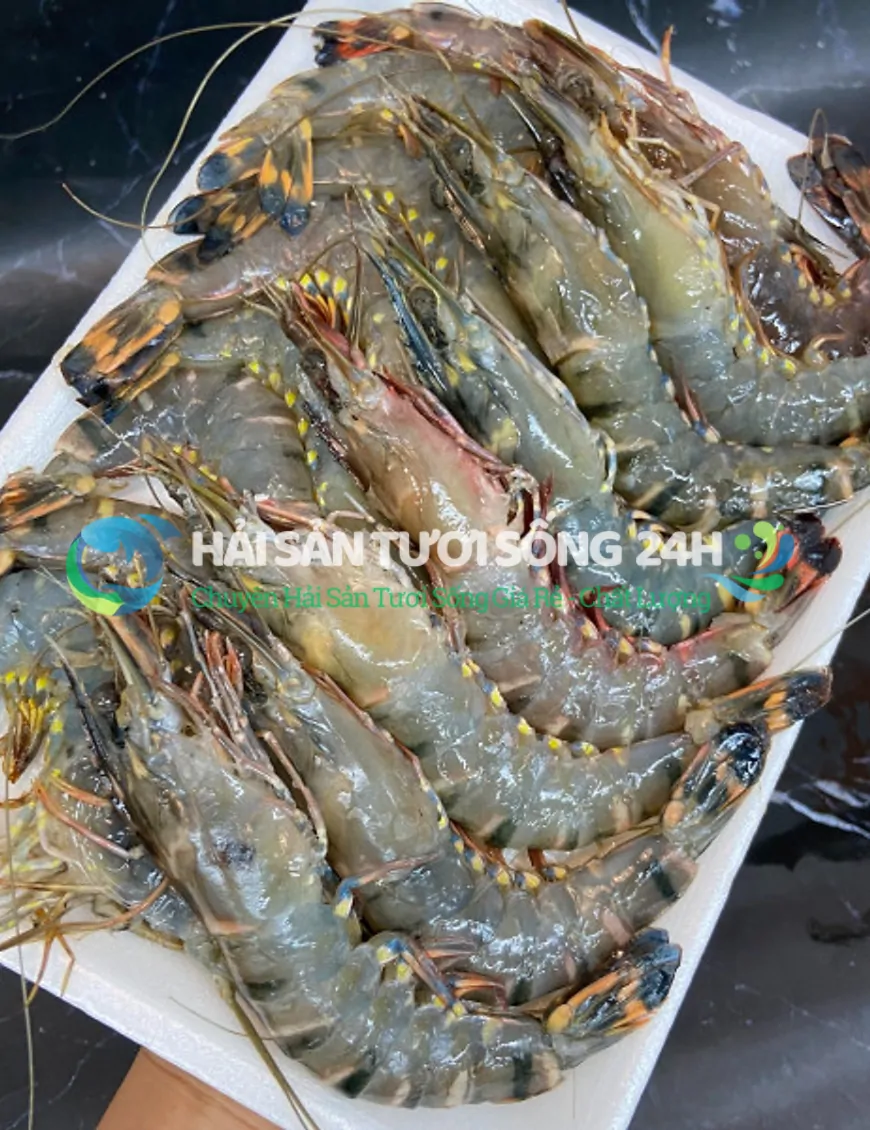 Tôm He biển túi 500g