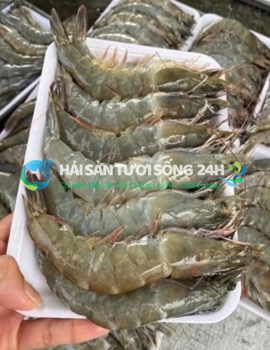 Tôm He biển túi 500g