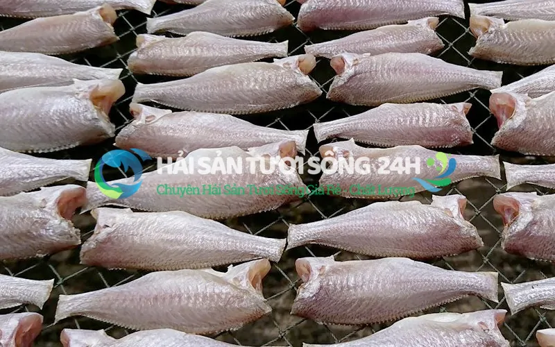 Vì sao cá đù 1 nắng luôn "cháy hàng"?