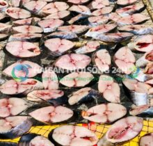 Cá Thu 1 Nắng Túi 500g