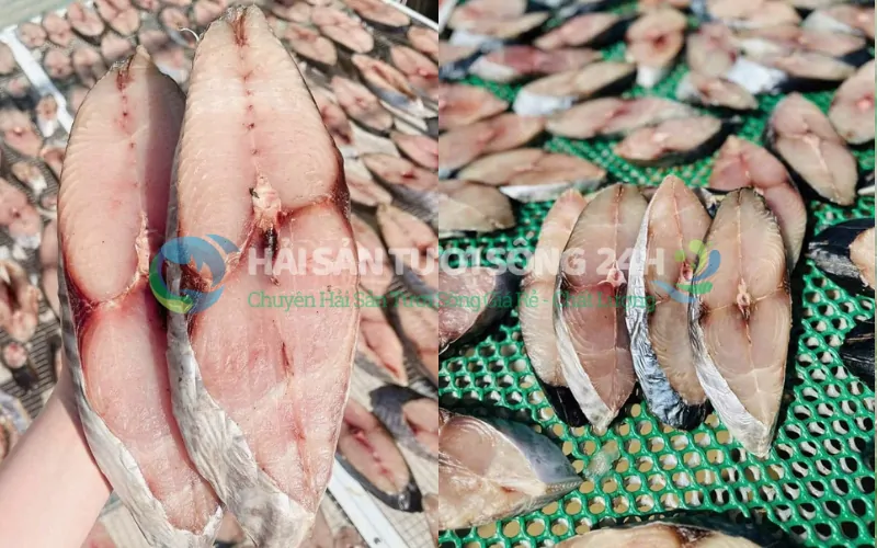 Đặc điểm nhận dạng cá thu 1 nắng tại Hải Sản Tươi Sống 24h