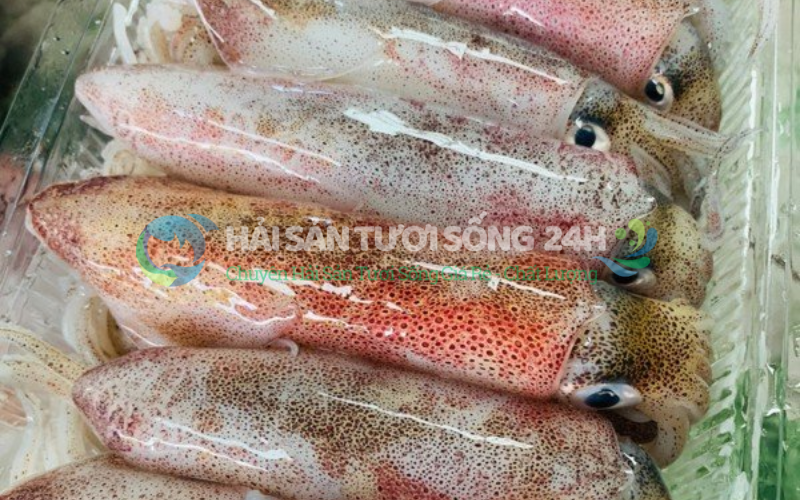 Mực Trứng Túi 500g 3 Giá trị dinh dưỡng của Mực Trứng