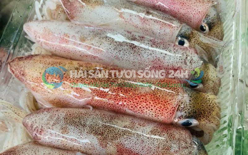 Giá trị dinh dưỡng của Mực Trứng