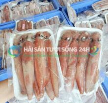 Mực Trứng Túi 500g