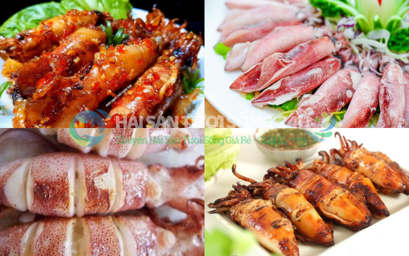 Mực Trứng Túi 500g 5 Những món ngon làm từ Mực Trứng