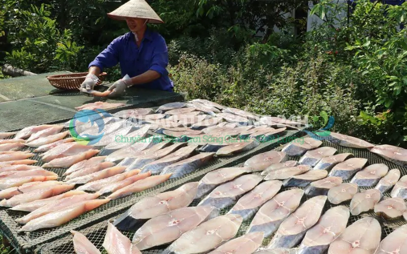 Vì sao nên chọn cá thu 1 nắng cua chúng tôi