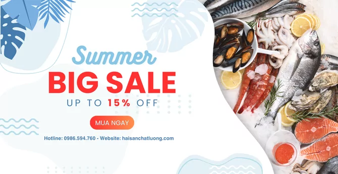 Summer Sale 15%