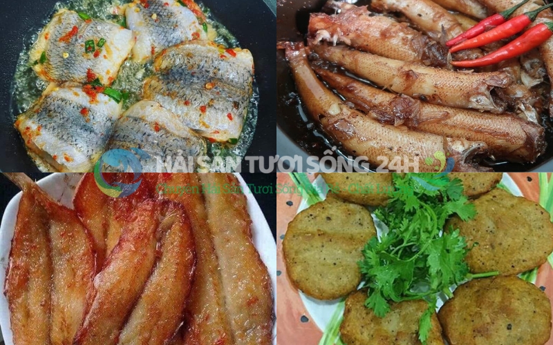 Câu Hỏi Thường Gặp Về Cá Mối