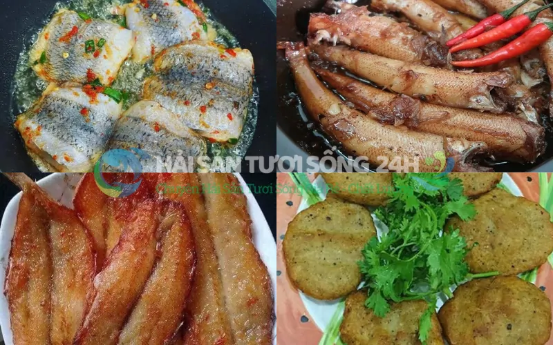 Câu Hỏi Thường Gặp Về Cá Mối