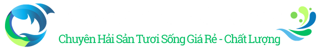 Hải Sản Tươi Sống 24h – Chuyên cung cấp Hải Sản Tươi Sống – Hải Sản Khô – Hải Sản Đông Lạnh – Hải Sản Một Nắng – Chất Lượng – Uy Tín