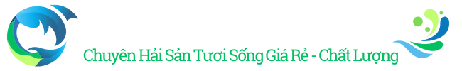 Hải Sản Tươi Sống – Chất Lượng – Giá Rẻ