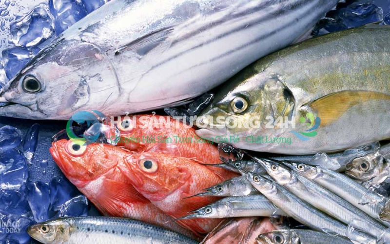 4 Dấu hiệu nhận biết cá biển tươi ngon bằng mắt thường