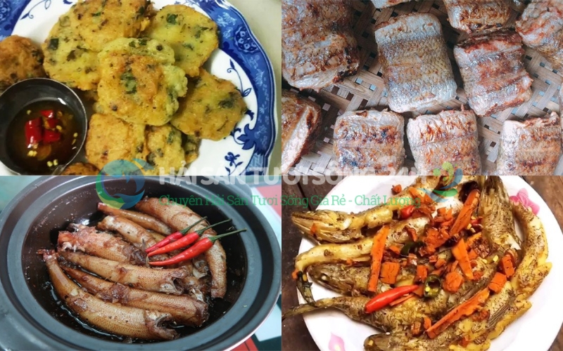 Bí quyết chọn mua cá mối tươi ngon chuẩn nhất