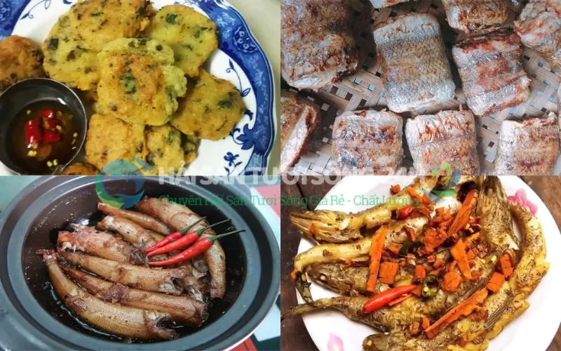 Bí quyết chọn mua cá mối tươi ngon chuẩn nhất