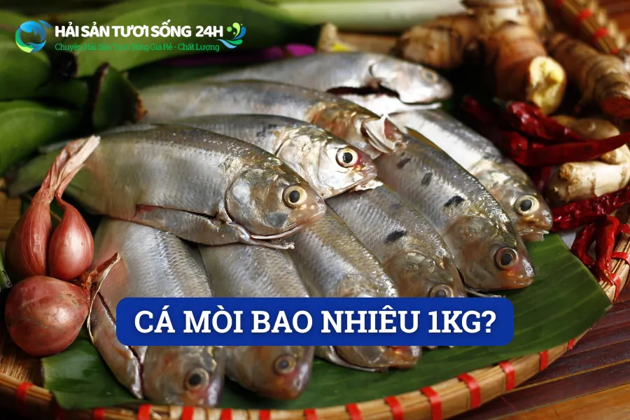 Cá mòi bao nhiêu 1kg?